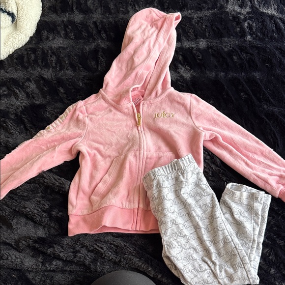 Juicy Couture Pink Zip-Up Hoodie with Gray Joggers - Picture 1 of 8